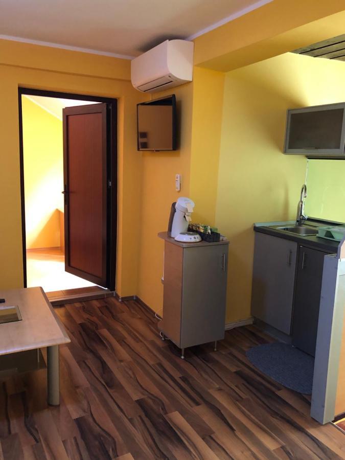 Pensiunea Haus Paltinul Sibiu Ngoại thất bức ảnh